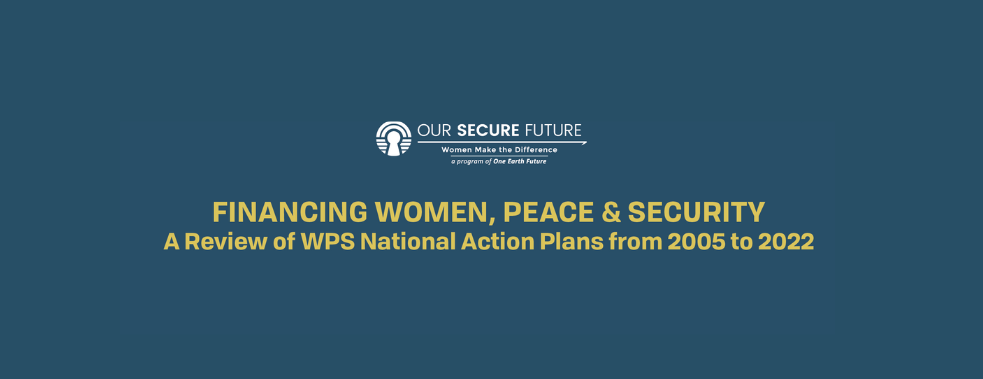Financing Women, Peace and Security NAPs