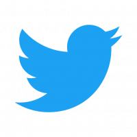 Twitter Icon