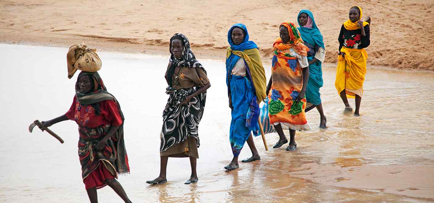 Sudanese Women Collect Fire Wood Sudanese Women Collect Fire Wood