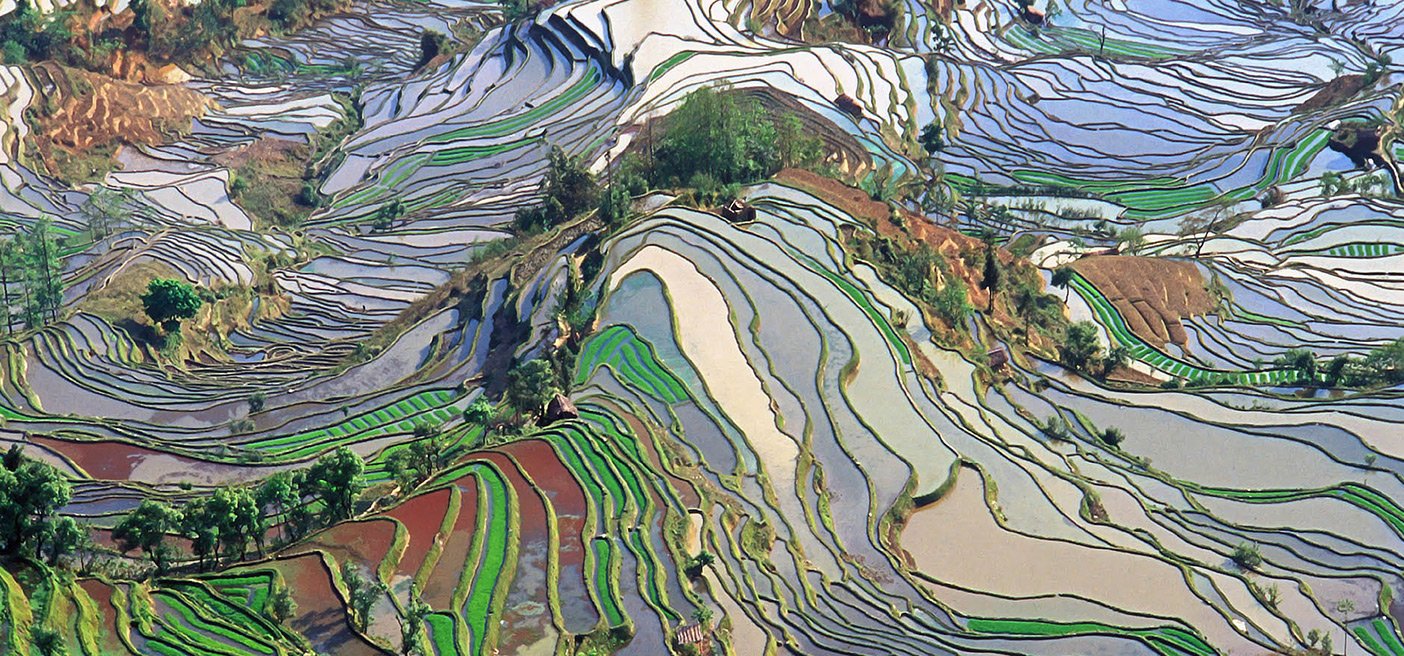 World Environment Day- terracing fields