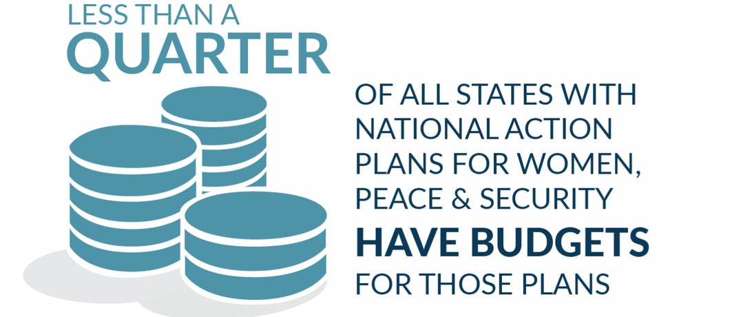 Less than a quarter of states have budgets for National Action Plans