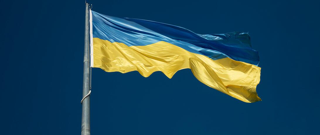 Ukrainian Flag