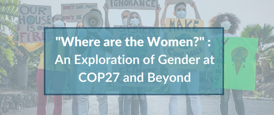 "Where are the Women?" : An Exploration of Gender at COP27 and Beyond