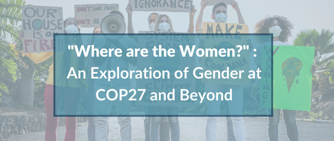 "Where are the Women?" : An Exploration of Gender at COP27 and Beyond