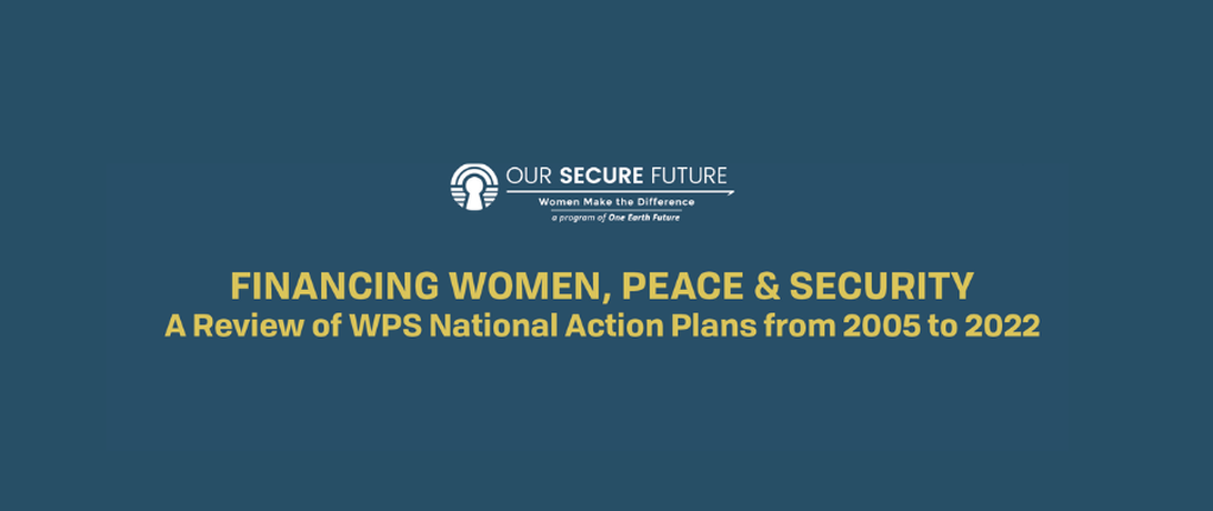 Financing Women, Peace and Security NAPs