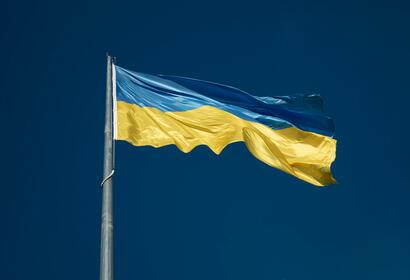 Ukrainian Flag